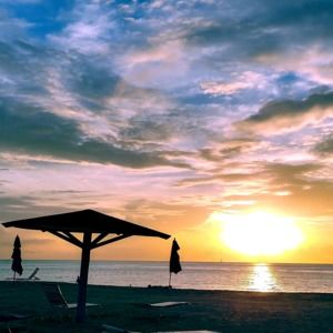 Meet your Posher, Zinovia